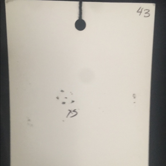 Reformation Dress - Picture 6 of 8